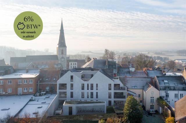 Project te koop in Borgloon
