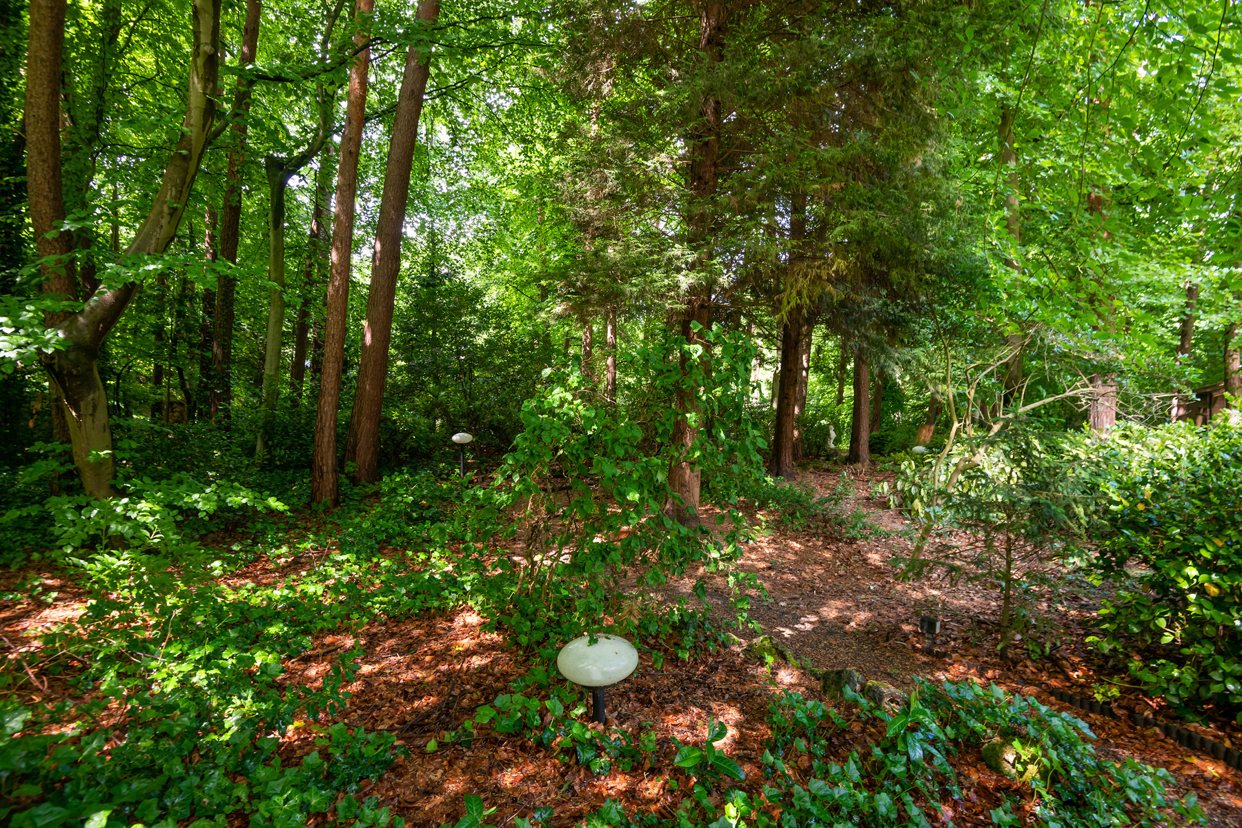 Ruime, energiezuinige villa op mooi perceel in Dennendael! - foto 3