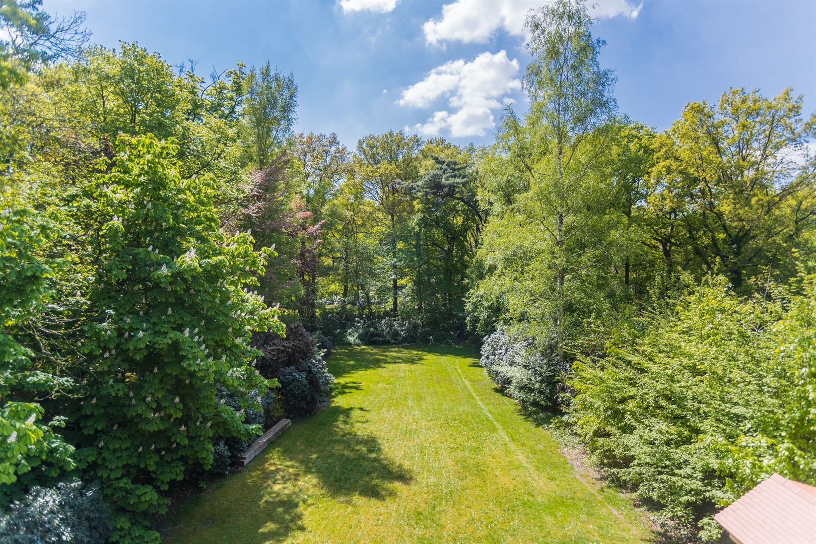 House for sale in Brasschaat with 6 bedrooms - photo 4