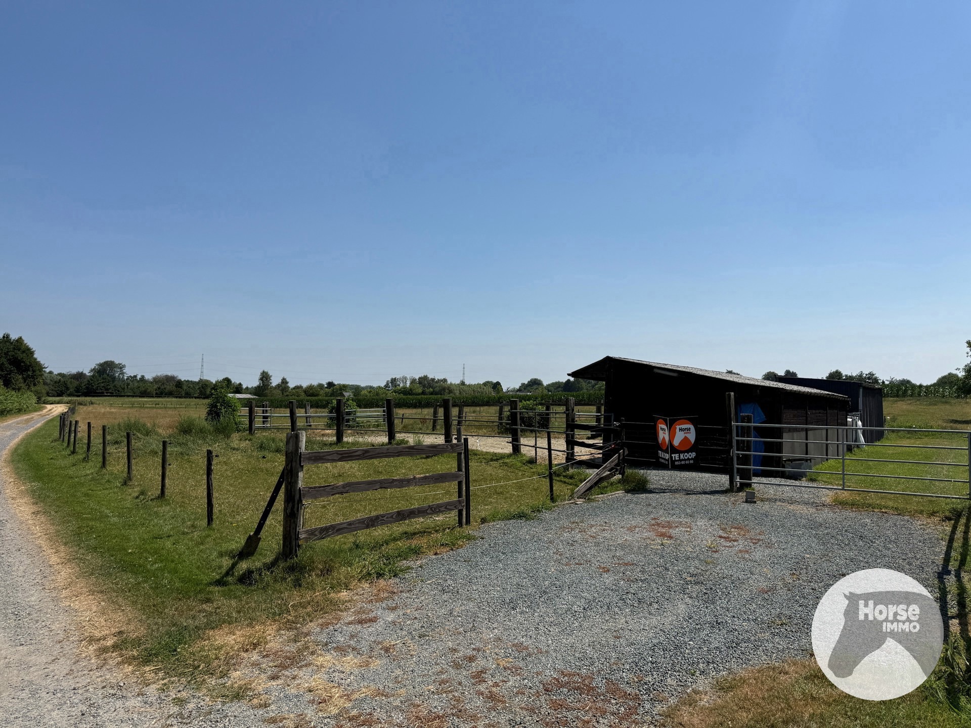 ASSE - Paardenaccommodatie op 1,07ha met stallen en paddock - foto 5