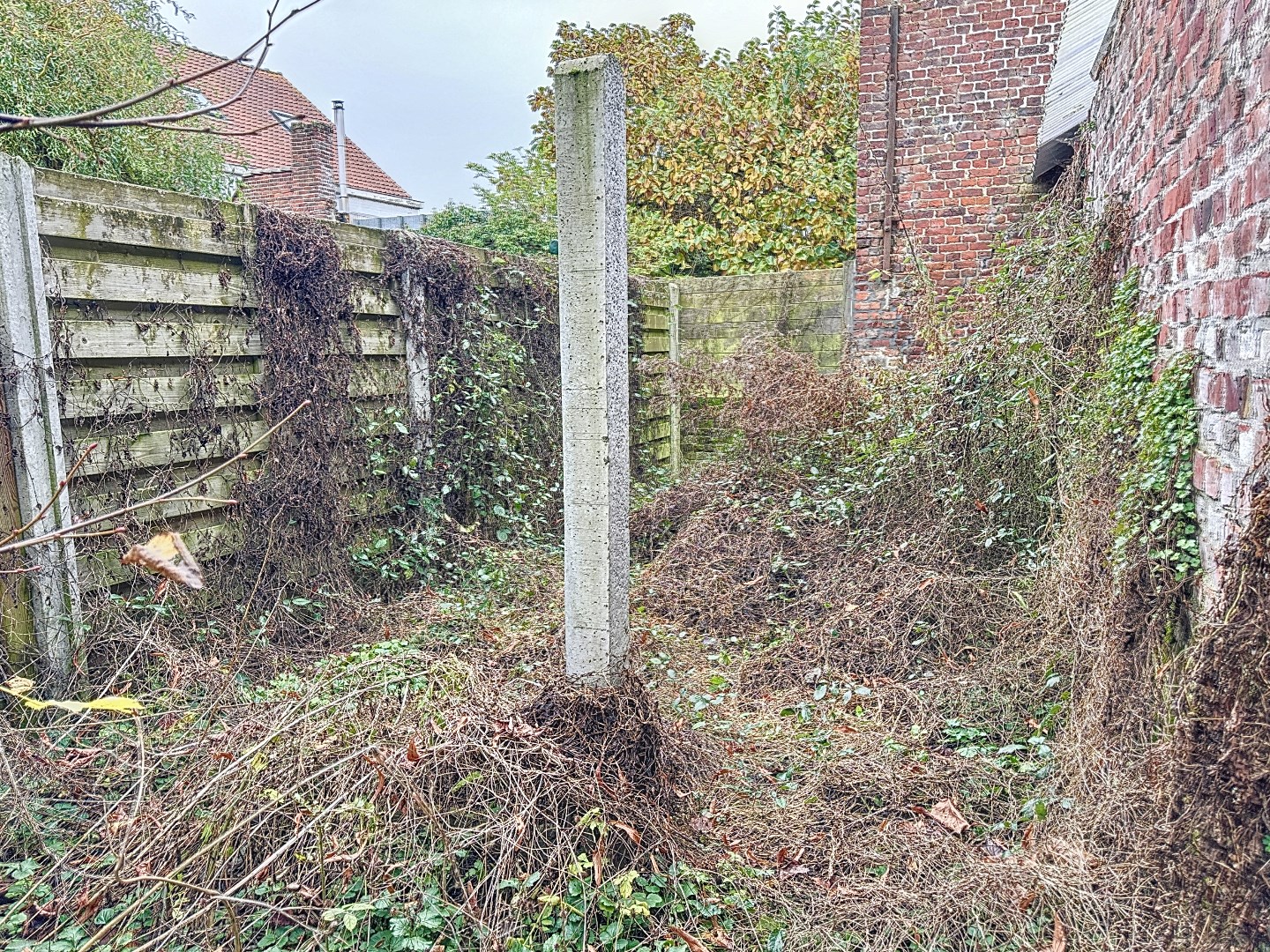 TOTAAL TE RENOVEREN WONING MET TUIN - foto 3