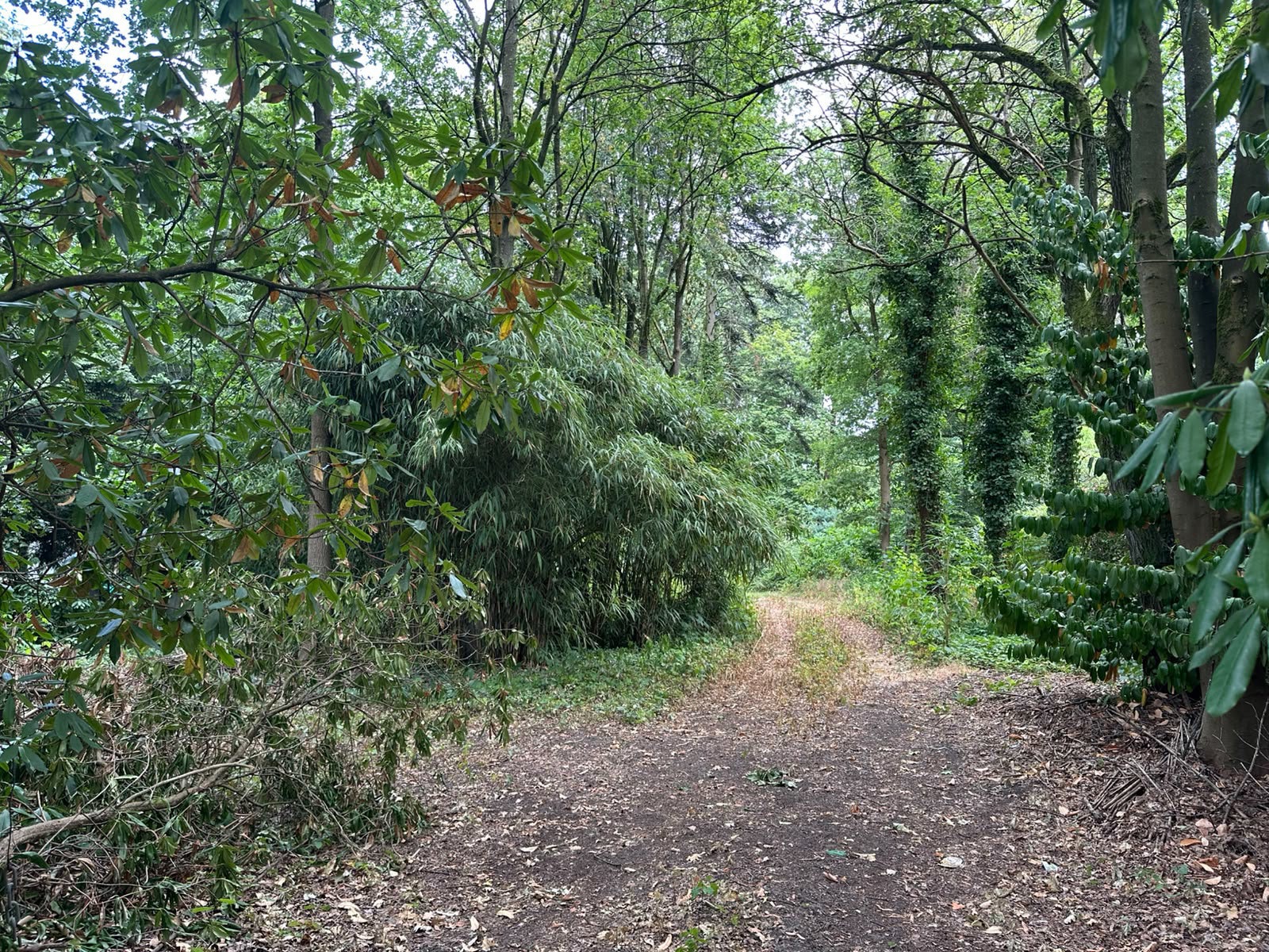 Bouwperceel vlakbij het centrum van Heide! - foto 3