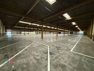 Fantastically located industrial building with a surface area of 6,543 m² for rent along and with visibility of the E17 in Sint-Niklaas, barely 2...