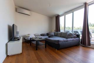 Apartment for rent in Kalmthout