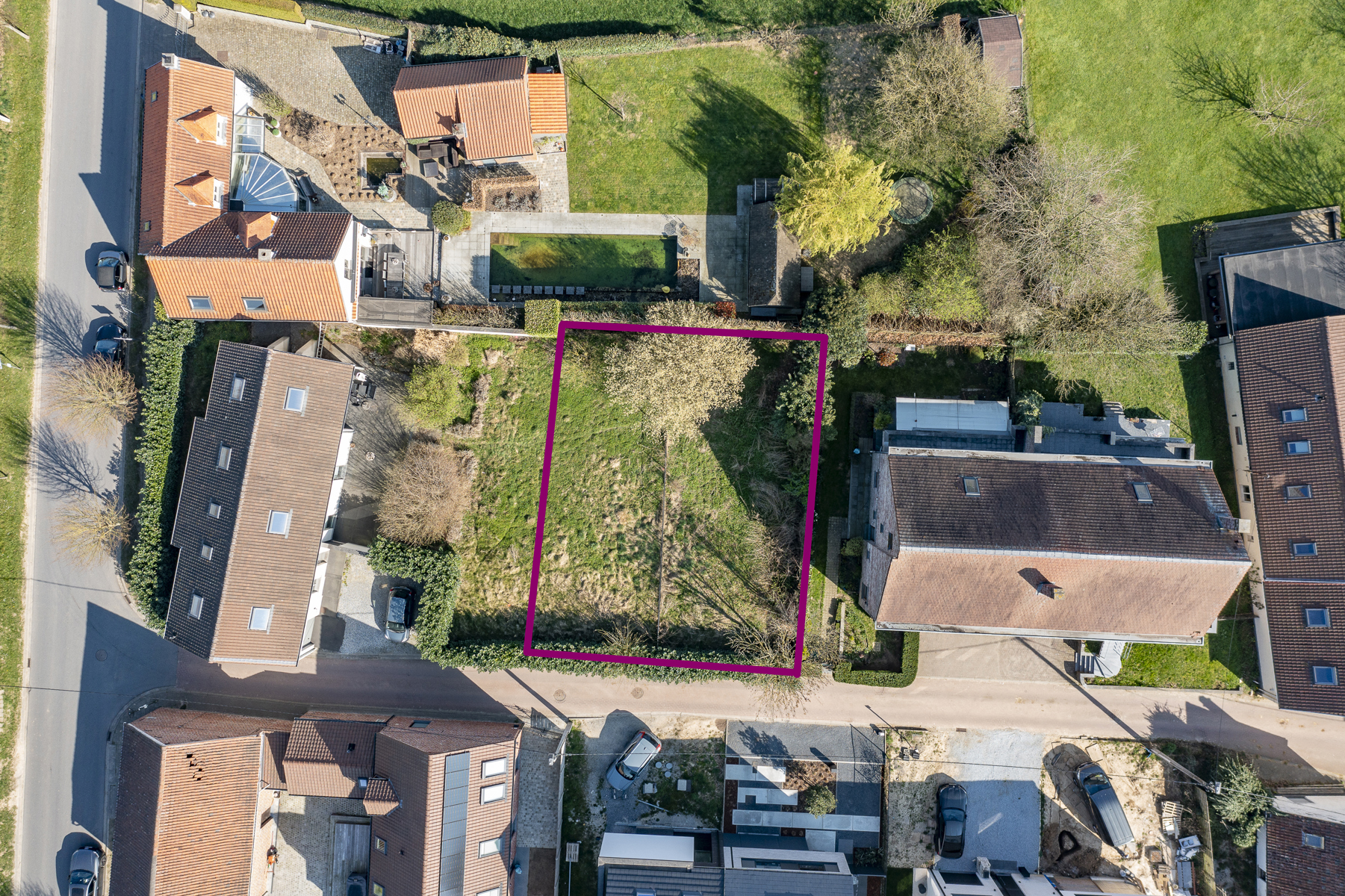 Land for sale in Relegem - photo 4