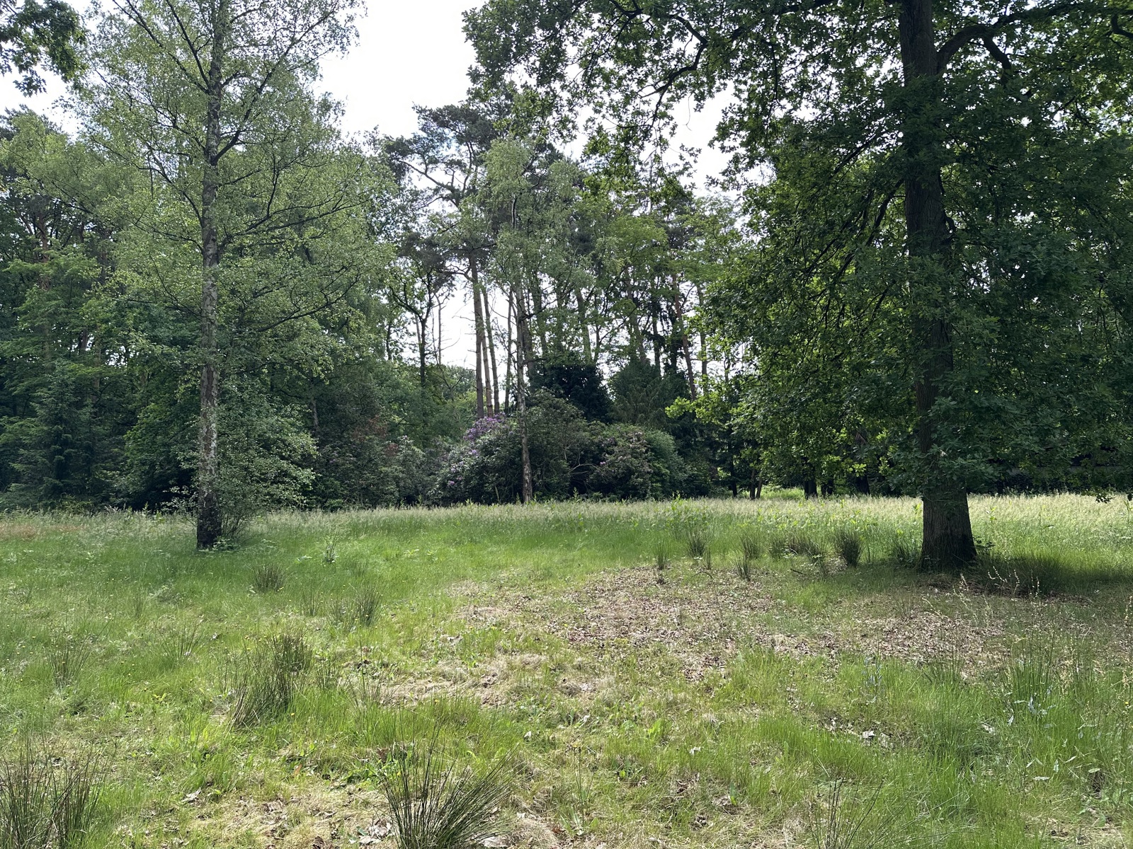 Prachtig villaperceel in Kapellenbos! - foto 4