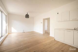 Inkomhal; leefruimte met open, geïnstalleerde keuken en schuifraam naar terras; 2 slaapkamers; badkamer met douche, toilet, lavabo in meubel en spiegel.<br /><br />Vaste kosten: 15 EUR (minuterie en onderhoud centrale verwarming). De nutsvoorzieningen zijn privatief.<br />Geschikt voor maximaal 4 personen.<br />Beschikbaar vanaf 15/08/2026.<br /><br />Huurwaarborg bedraagt 3 maanden huur.<br />Plaatsbeschrijving door extern bedrijf met gedeelde kosten.<br /><br />Een bezoek ter plaatse kunt u enkel online reserveren op www.hansvastgoed.com.<br />Voor meer informatie, bezoek onze website www.hansvastgoed.com of neem contact op met info@hansvastgoed.com of +32 3 366 05 30.