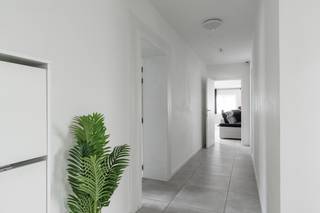 Dit zeer ruime appartement van maar liefst 172m² (bron EPC) vinden we terug  in Achel, vlak bij de Nederlandse grens, het is een uitzonderlijk...