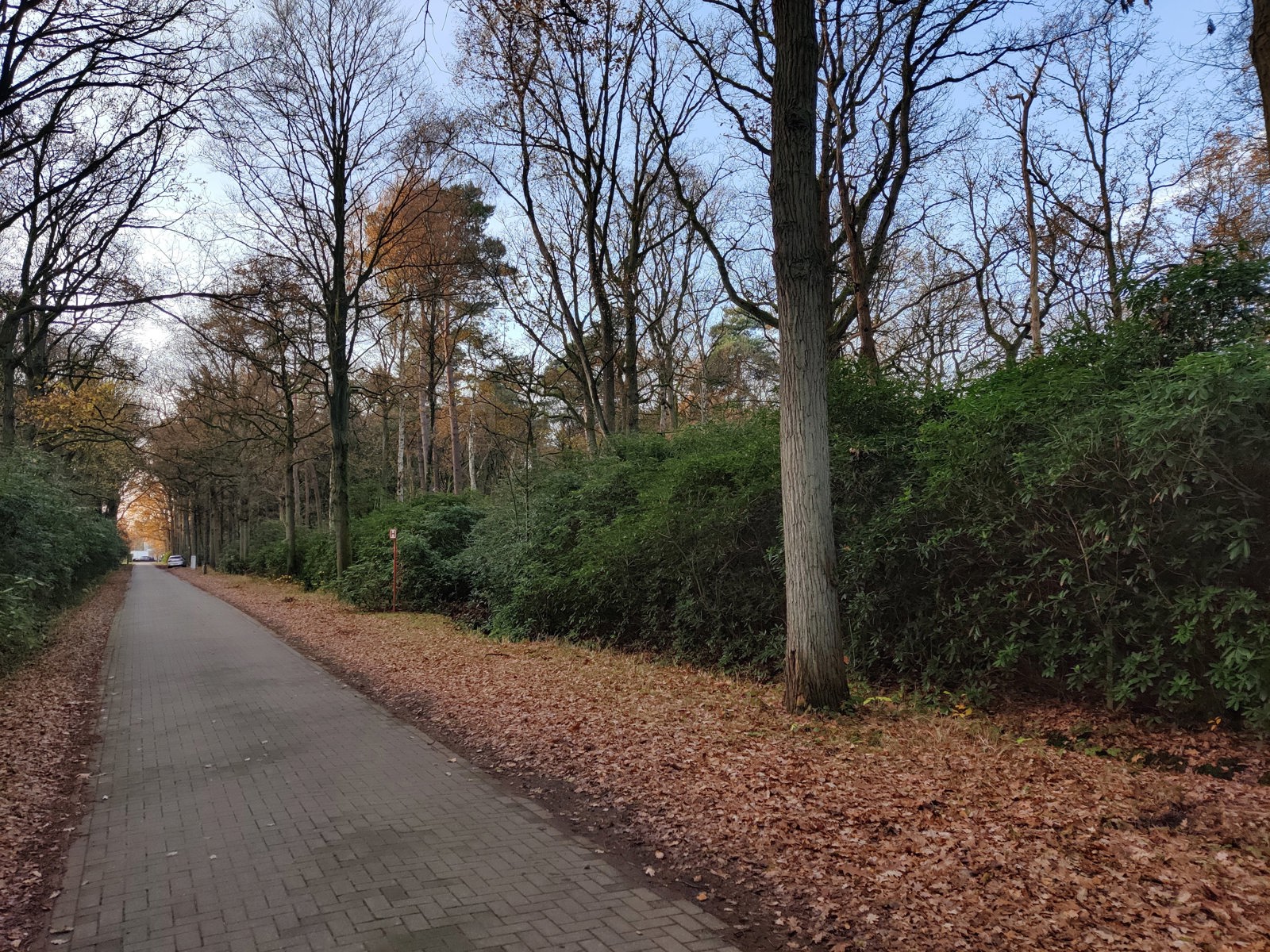 Grond in een groene omgeving - foto 2