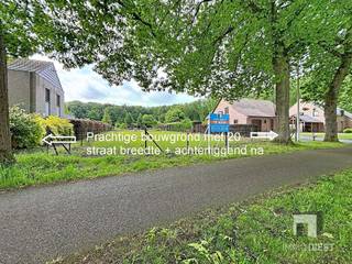 Land for sale in Tessenderlo-Ham