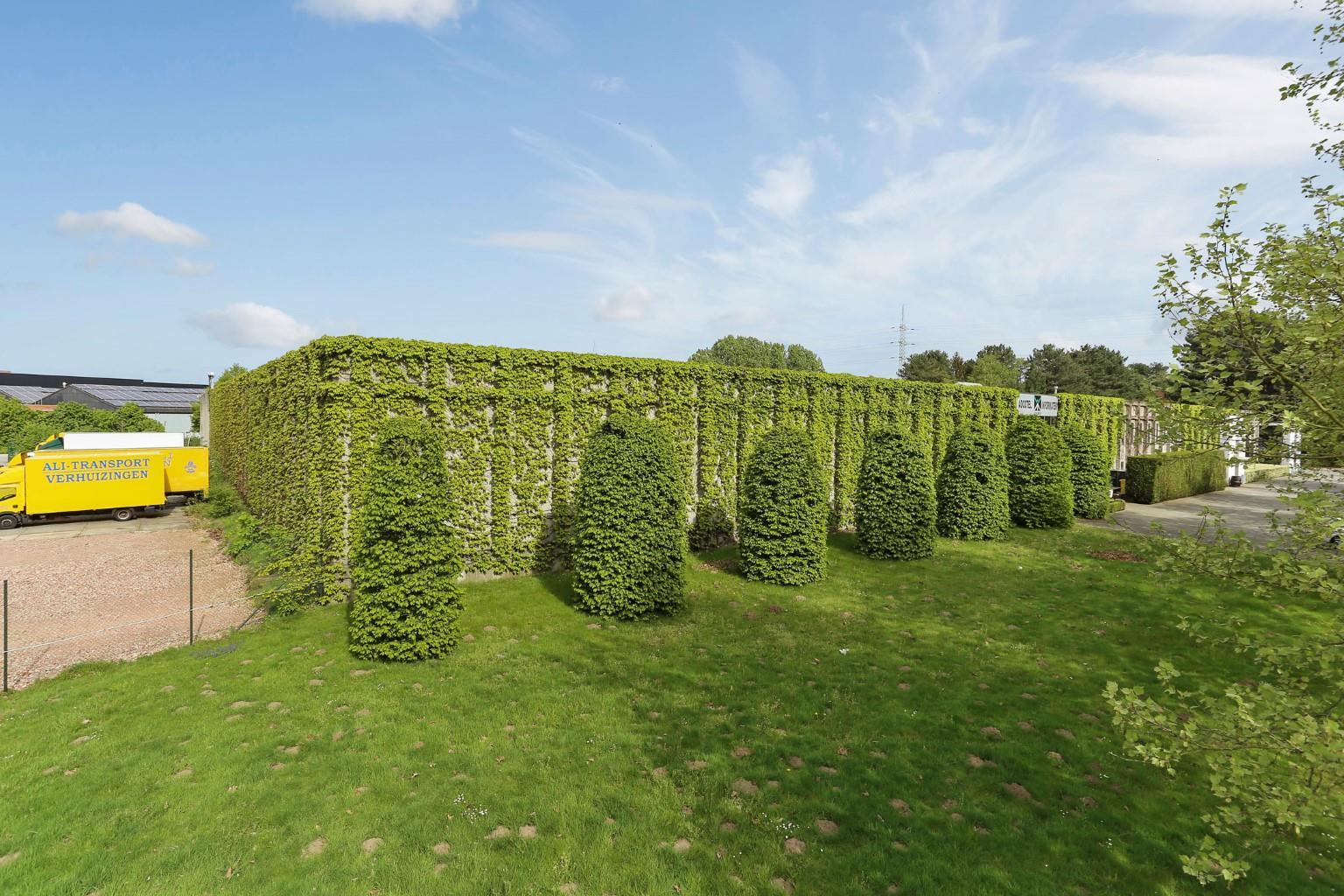 Commercieel te huur in Herentals - foto 1