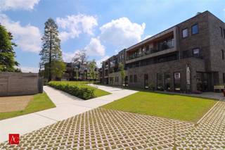 Comfortabel wonen met extra luxe in hartje Sint-NiklaasOntdek deze verzorgde serviceflat in Sint-Niklaas, gelegen op de eerste verdieping in een...
