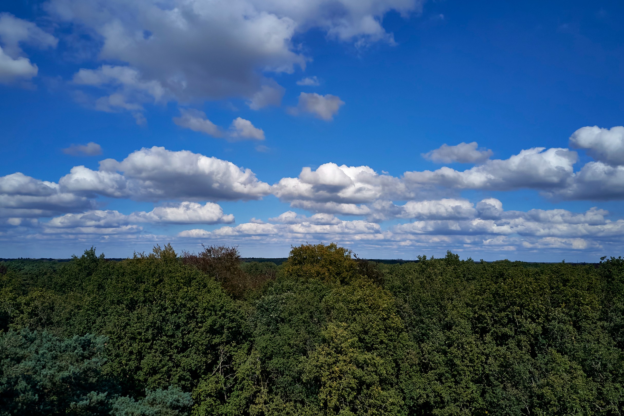 UItzonderlijk stuk bouwgrond palende aan de landerijen van kasteel 's-Gravenwezel - foto 4