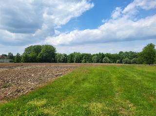 Bouw hier jouw droomwoning met panoramisch uitzicht!<br />Prachtig gelegen bouwgrond voor halfopen bebouwing op 435 m², met een weids panoramisch uitzicht over de omliggende velden. De inplanting is zuidgeoriënteerd en de tuin geniet een ideale zuidwestoriëntatie — zon van ‘s morgens tot ‘s avonds gegarandeerd.<br />De grond heeft een straatbreedte van 10 m en een gemiddelde diepte van 43 m.<br />Bouwvoorschriften:<br />•Maximale bouwbreedte: 7 m<br />•Maximale bouwdiepte: 12 m (gelijkvloers en verdieping)<br />•Bouwvrije strook: 3 m<br />•Maximaal twee bouwlagen<br />•Daktype: hellend of plat<br />•Kroonlijsthoogte: max. 6,00 m (hellend dak) of 6,50 m (plat dak)<br />Deze linkse bouwgrond combineert een prachtige ligging met een ideale oriëntatie — perfect voor wie droomt van licht, ruimte en een vrij uitzicht.<br />Voor meer inlichtingen: 0488 85 81 84<br />Prijs exclusief kosten<br />