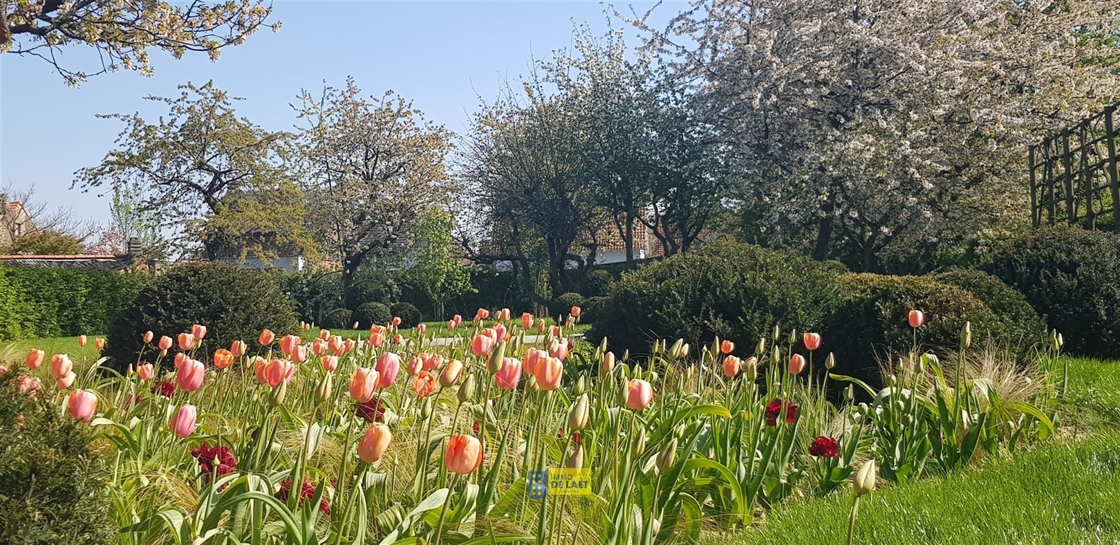 Projectgrond - foto 5