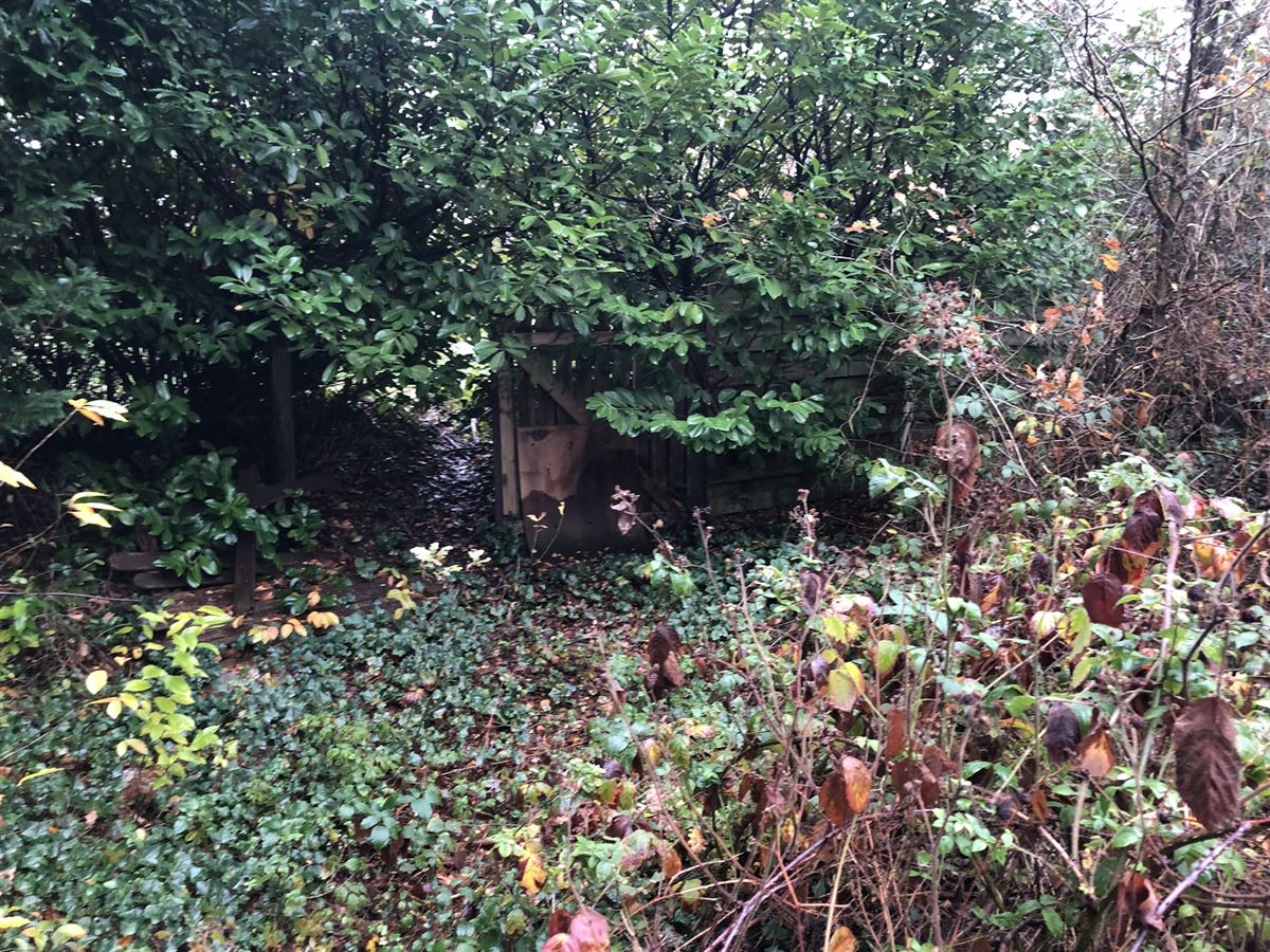 Agrarisch gebied - foto 4