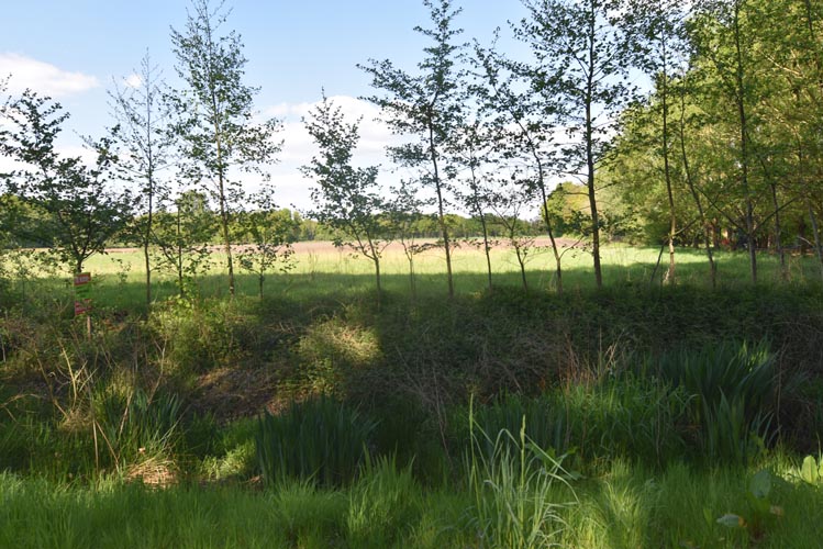 Terrain à vendre à Heist-Op-Den-Berg - photo 2