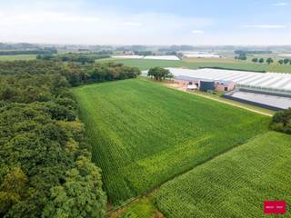 Mooi gelegen grond te Minderhout aan Paterspad. Kadaster: HOOGSTRATEN/2 AFD/MINDERHOUT, Sectie C Percelen N° 190/2/B & 190/2/C Deze grond wordt...