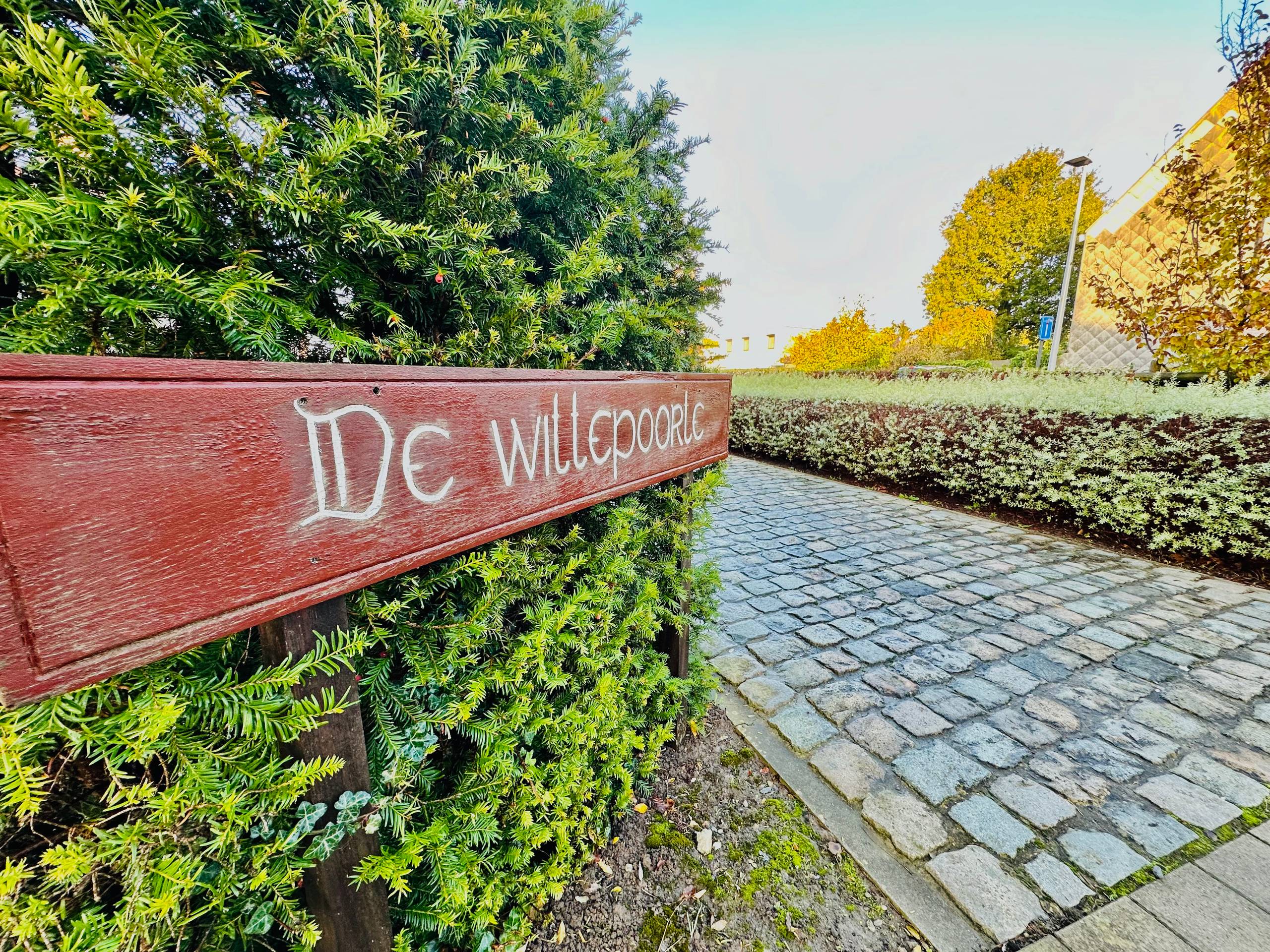 Unieke loods (189 m²) met ruime inrijpoort (en 6 garages) - foto 2