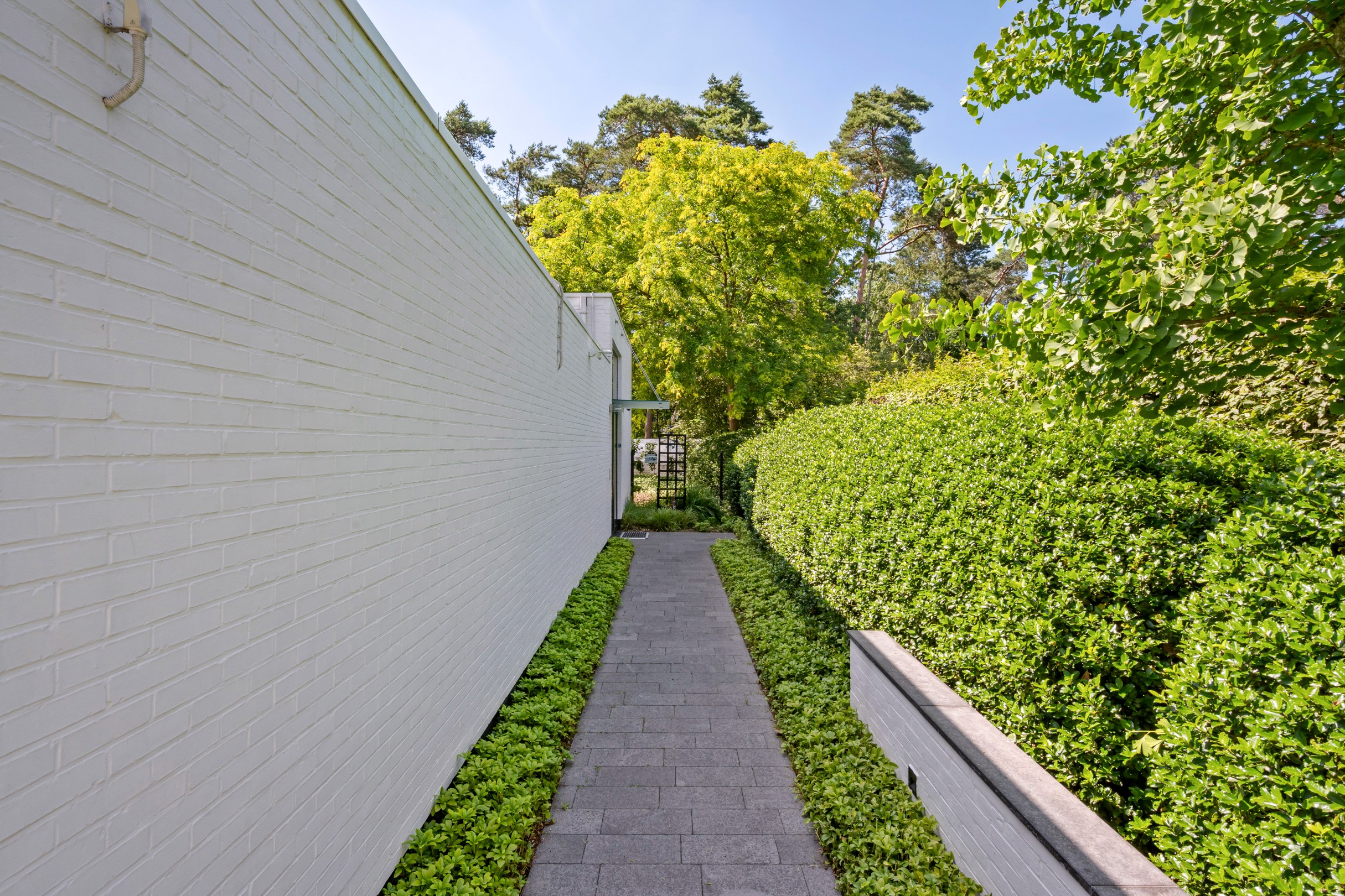 Single-storey villa with 3 bedrooms on 1,560 m² in Mol - photo 4