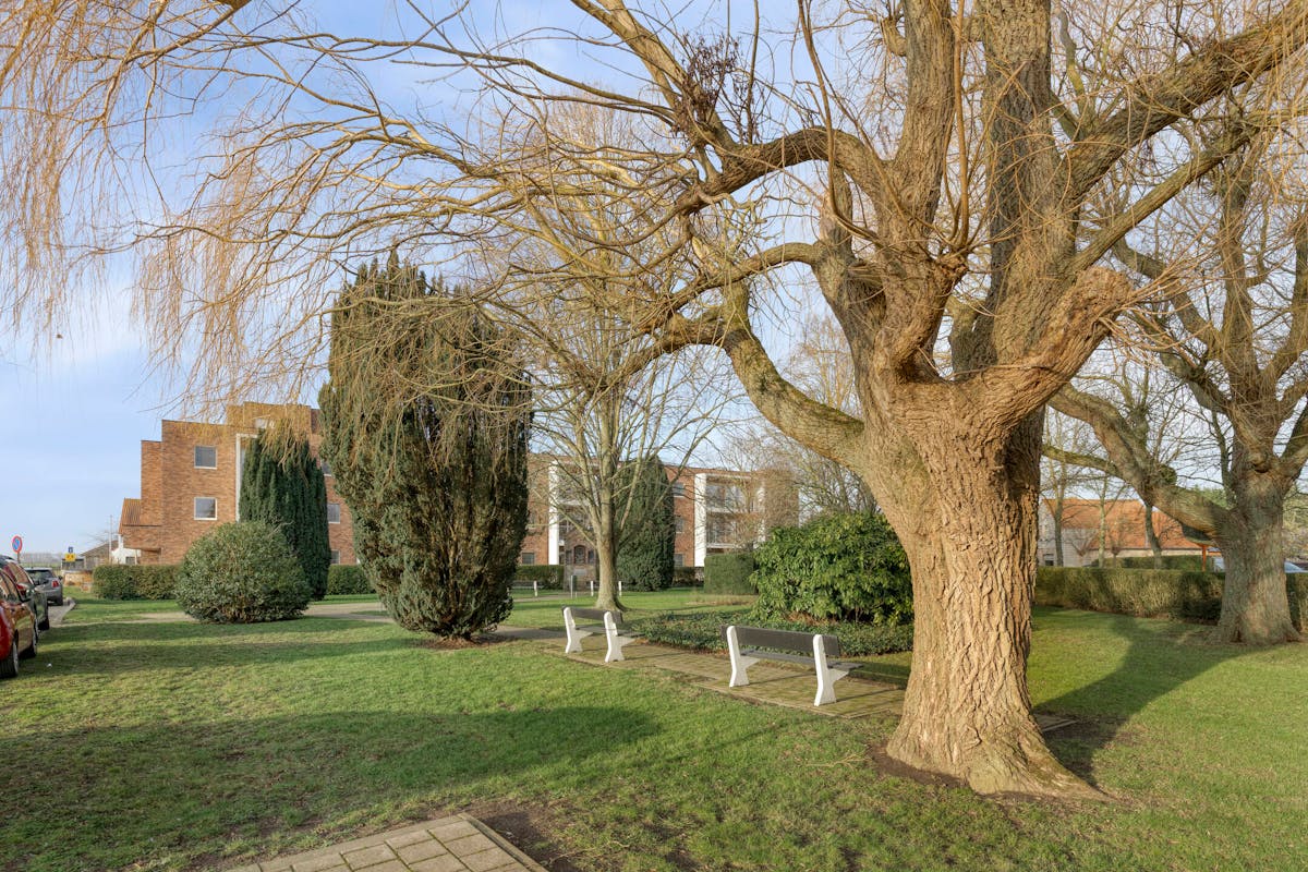 Assisted living apartment on the ground floor in Westkapelle for sale - photo 4