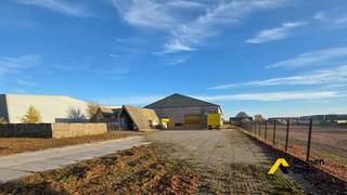 Op het industrieterrein Kanaal-Noord in Bree bevindt zich deze ruime en functionele industriehal met geïntegreerde conciërgewoning, gelegen op...