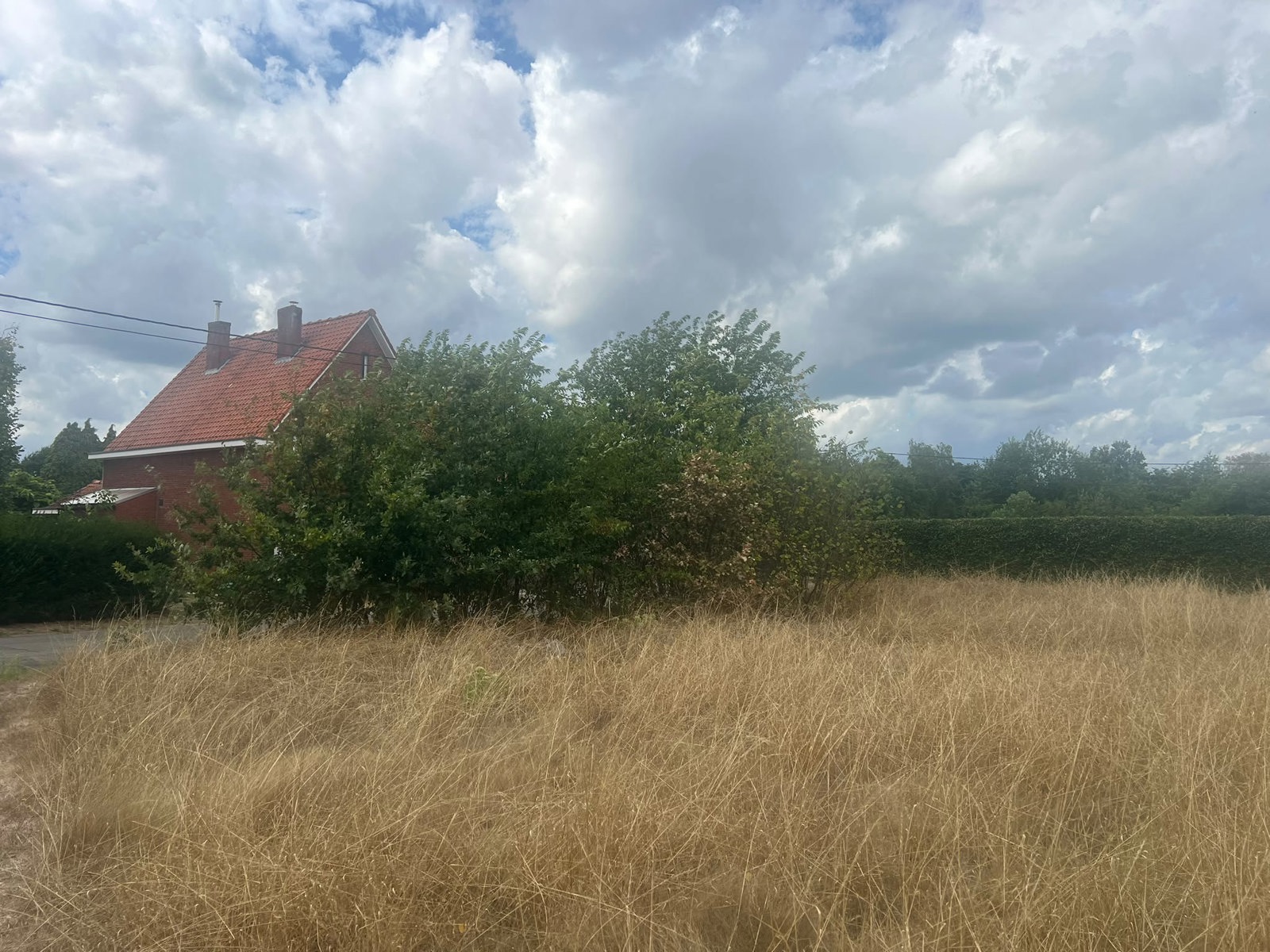 Land for sale in Balen - photo 5
