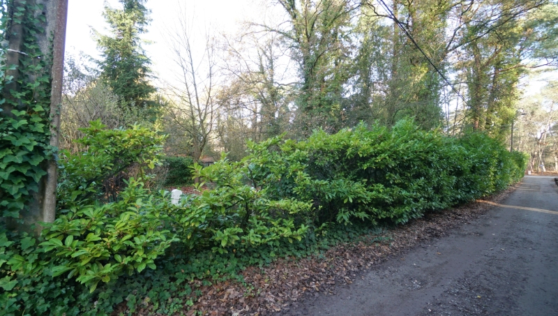 Mooie bouwgrond van 30 are voor villa of duo-wonen - foto 5