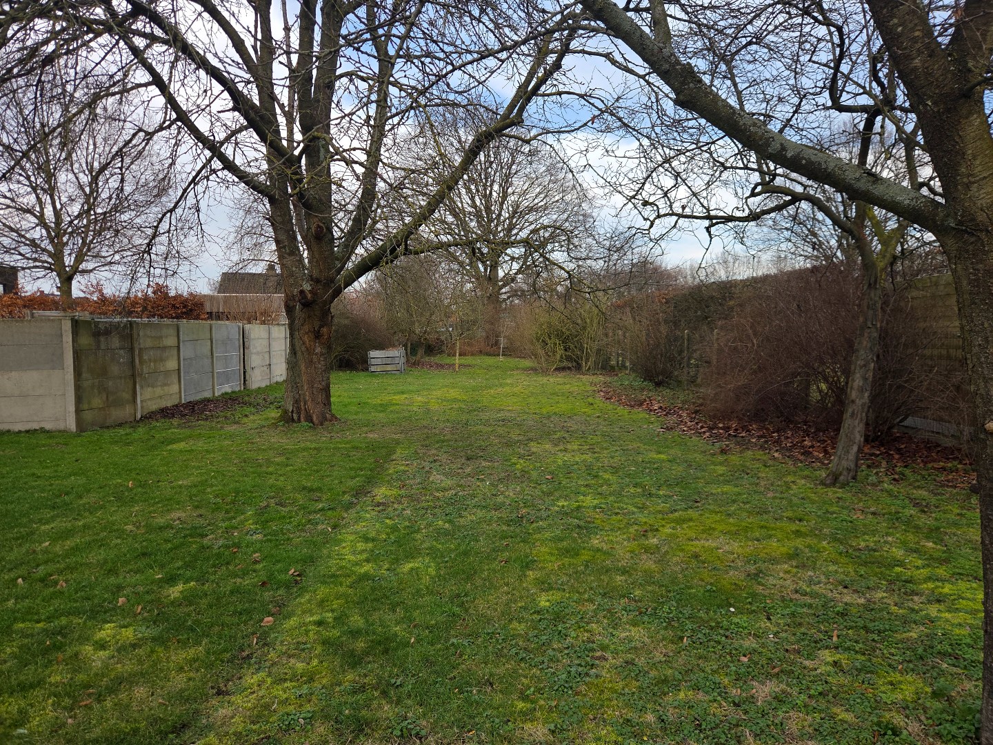 Land for sale in Westerlo - photo 4
