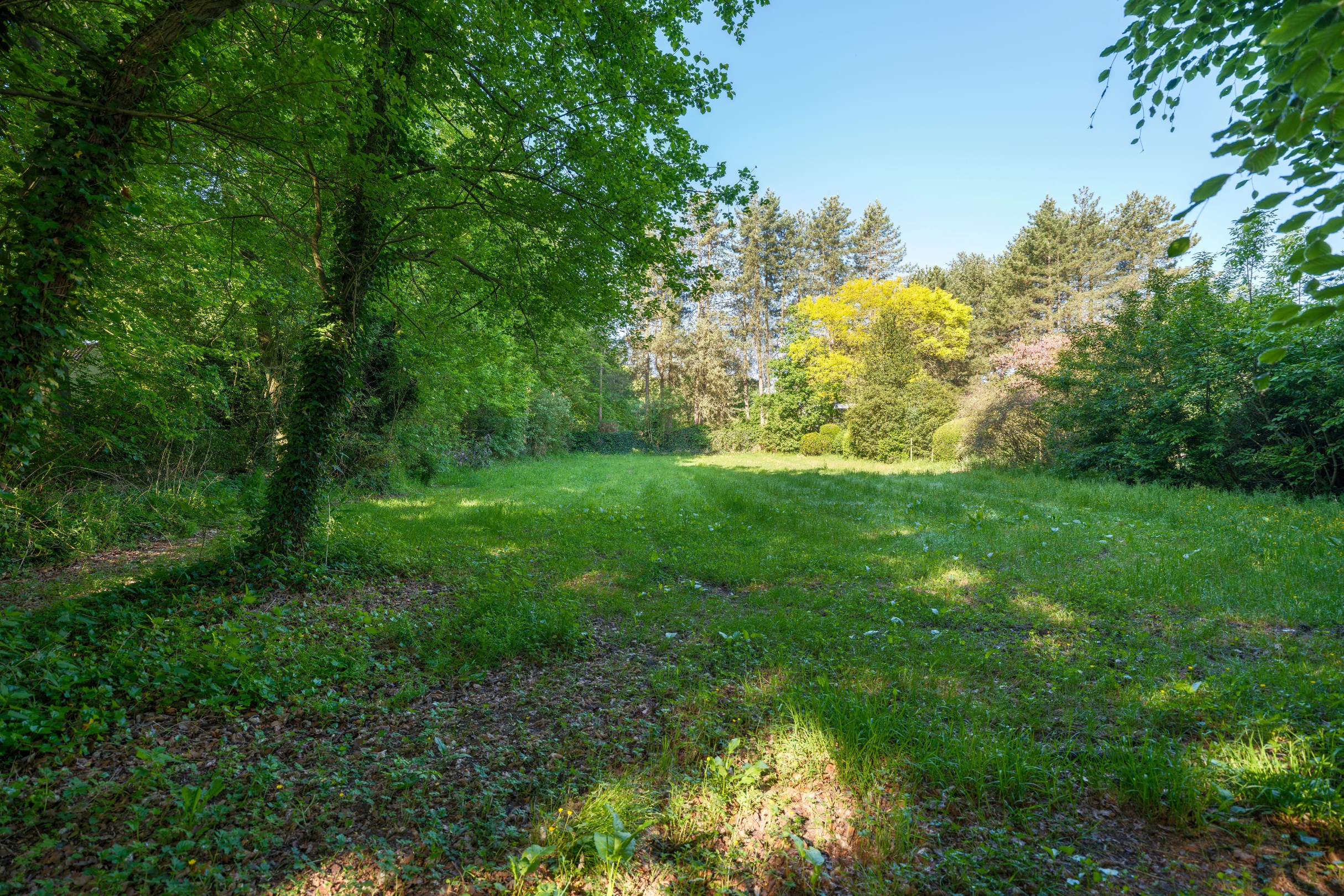 Ruime bouwgrond te koop op toplocatie in het Loveld te Aalter - foto 5
