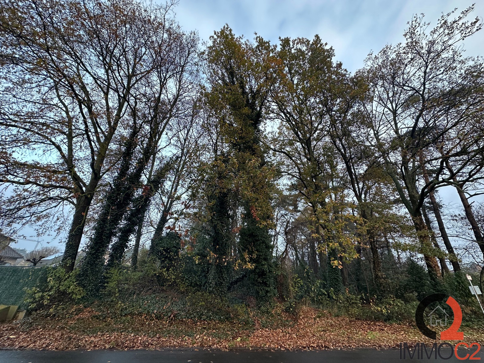 Grond te koop in Beringen - foto 2