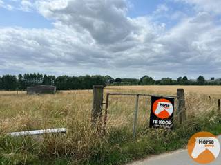 MELDERT - Weide op +/- 40AreDit stuk weide is ongeveer 39a20ca en goed bereikbaar.Dit perceel kunt u terugvinden onder AALST AFD 10/MELDERT, sectie:...