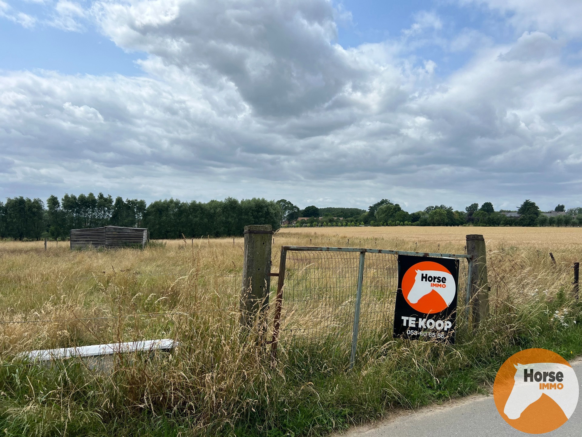 MELDERT - Weide op +/-40Are - foto 3