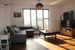 Dit aangename appartement van 60 m² is gelegen op slechts 500 meter van het centrum van Kasterlee. Naast een gunstige ligging biedt het appartement verschillende extra troeven en beschikt het over een EPC-waarde B.
Het appartement omvat:
- een aangename woonruimte met open keuken en vaatwasser
- een slaapkamer met ingebouwde kasten
- een badkamer met ligbad met douche
- een apart toilet
- een berging met aansluitingen voor een wasmachine en droogkast
Hiernaast beschikt het appartement over een zonnig terras van 15 m², met elektrische luifel en aangenaam groen uitzicht op de bomen.
Extra troeven (bovenop de bewoonbare oppervlakte) zijn de privé inkomhal, een ruime kelderberging, een eigen carport met extra bergruimte en een gedeelde fietsenstalling met mogelijkheid tot het opladen van een elektrische fiets.
Samengevat: een gezellig appartement met een zonnig terras, voldoende bergruimte en een centrale ligging, op wandelafstand van het centrum van Kasterlee.