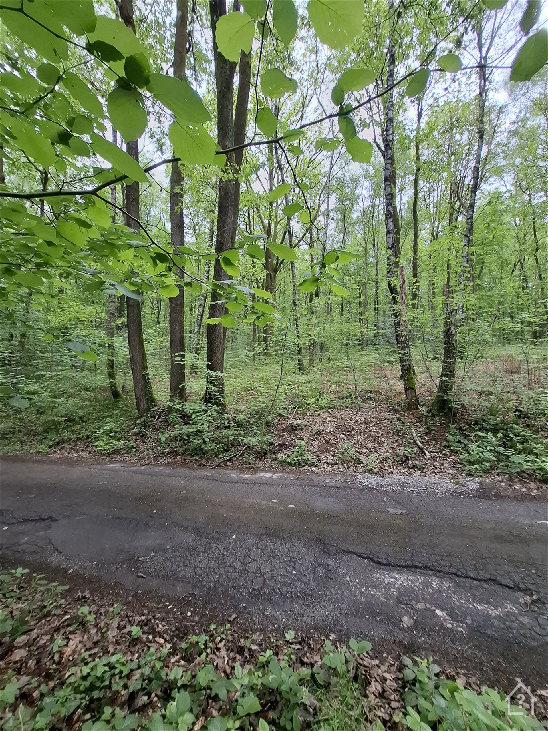Terrain - photo 2