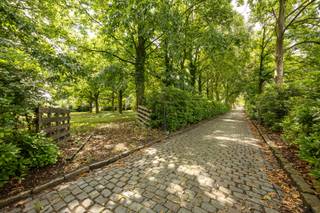 Op een uitzonderlijk rustige locatie aan Dijkzijde in Oud-Turnhout bevindt zich dit unieke landgoed op een perceel van bijna 3 hectare. Omgeven door groen en met zicht op de omliggende wijngaarden geniet u hier van maximale rust en privacy, terwijl voorzieningen en verbindingswegen vlot bereikbaar blijven.<br /><br />Deze ruime woning met een bewoonbare oppervlakte van 474 m² biedt tal van mogelijkheden voor wie op zoek is naar comfortabel wonen in een groene omgeving. Op het gelijkvloers vindt u een inkomhal, wasplaats, berging en technische ruimte, aangevuld met een ruime keuken die aansluit op de lichtrijke leefruimte. Verder beschikt de woning over een bureau, een aangename veranda, een slaapkamer met dressing en een badkamer, waardoor gelijkvloers wonen perfect mogelijk is. Op de eerste verdieping bevinden zich vier volwaardige slaapkamers en een afzonderlijke studio met eigen leefruimte, keuken en badkamer, ideaal voor inwonende familie, gasten, of als extra woonruimte. De aanwezige kelder en zolder zorgen voor extra opslagruimte. Buiten geniet u van een uitgestrekte tuin met terras en zwembad, waar rust, groen en privacy centraal staan. Daarnaast beschikt het domein over een loods met ingerichte mancave en drie afzonderlijke opslagruimtes, wat tal van mogelijkheden biedt voor hobby, opslag of professionele doeleinden.<br /><br />Met een EPC-score van slechts 50 kWh/m² jaar (label A) is deze eigendom bijzonder energiezuinig en niet onderworpen aan de renovatieverplichting.<br /><br />• Perceel van bijna 3 hectare<br />• Rustige ligging tussen het groen en de wijngaarden<br />• 5 slaapkamers en aparte studio<br />• Tuin, terras en zwembad<br />• Loods en 3 opslagruimtes<br />• EPC-label A (50 kWh/m² jaar)<br />• Veel privacy en diverse gebruiksmogelijkheden