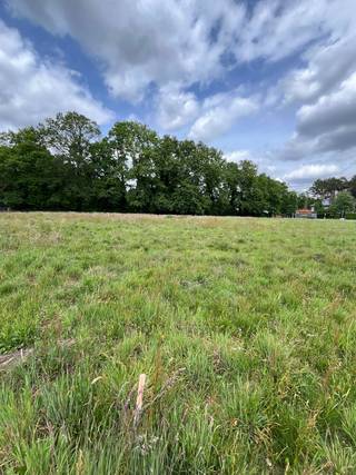 <p><strong>Heusden-Zolder (Bolderberg): uitzonderlijke bouwgrond op topligging in villawijk</strong></p>
<p>Gelegen in een rustige en bosrijke omgeving, gecombineerd met de ligging in een residentiële villawijk, maakt dit een unieke opportuniteit voor wie exclusief en groen wil wonen. Tegelijk geniet u van een vlotte bereikbaarheid naar winkels, horeca, scholen en belangrijke invalswegen.</p>
<p>Met een ruim perceel van 14a75ca (lot 2 + 2a volgens het opmetingsplan) biedt deze bouwgrond tal van mogelijkheden voor het realiseren van een prachtige villa op maat. Dankzij de zuidoriëntatie geniet u optimaal van natuurlijke lichtinval en een zonnige tuin. De combinatie van ruimte, ligging en omgeving maakt dit perceel bijzonder aantrekkelijk voor wie op zoek is naar een unieke bouwkans.</p>
<p><strong>Bouwvoorschriften:</strong></p>
<ul><li>Maximale bouwdiepte: gelijkvloers 17 meter, op de verdieping 12 meter</li><li>Nokhoogte: maximaal 11,5 meter t.o.v. vloerpeil gelijkvloers (in geval van hellend dak)</li><li>Kroonlijsthoogte (hellend dak) of dakrand (plat dak): maximaal 6,5 meter t.o.v. vloerpeil, maximaal 3,5 meter gelijkvloers bijvolume</li><li>Dak: hellend dak of plat dak</li></ul>
<p>De volledige bouwvoorschriften kunt via de bijlagen raadplegen.</p>
<p><strong>TROEVEN:</strong></p>
<ul><li>Ruim perceel van 14a75ca</li><li>Zuidgeoriënteerde bouwgrond</li><li>Rustige en bosrijke omgeving</li><li>Residentiële ligging in villawijk</li><li>Uitstekende combinatie van privacy en bereikbaarheid</li></ul>
<p>Bent u op zoek naar een exclusieve bouwgrond op een toplocatie? Ontdek de mogelijkheden van dit unieke perceel in Bolderberg en contacteer ons vandaag nog voor meer informatie!</p>
<p><strong>JOUW DROOMPROJECT. ZO GEVONDEN!</strong></p>