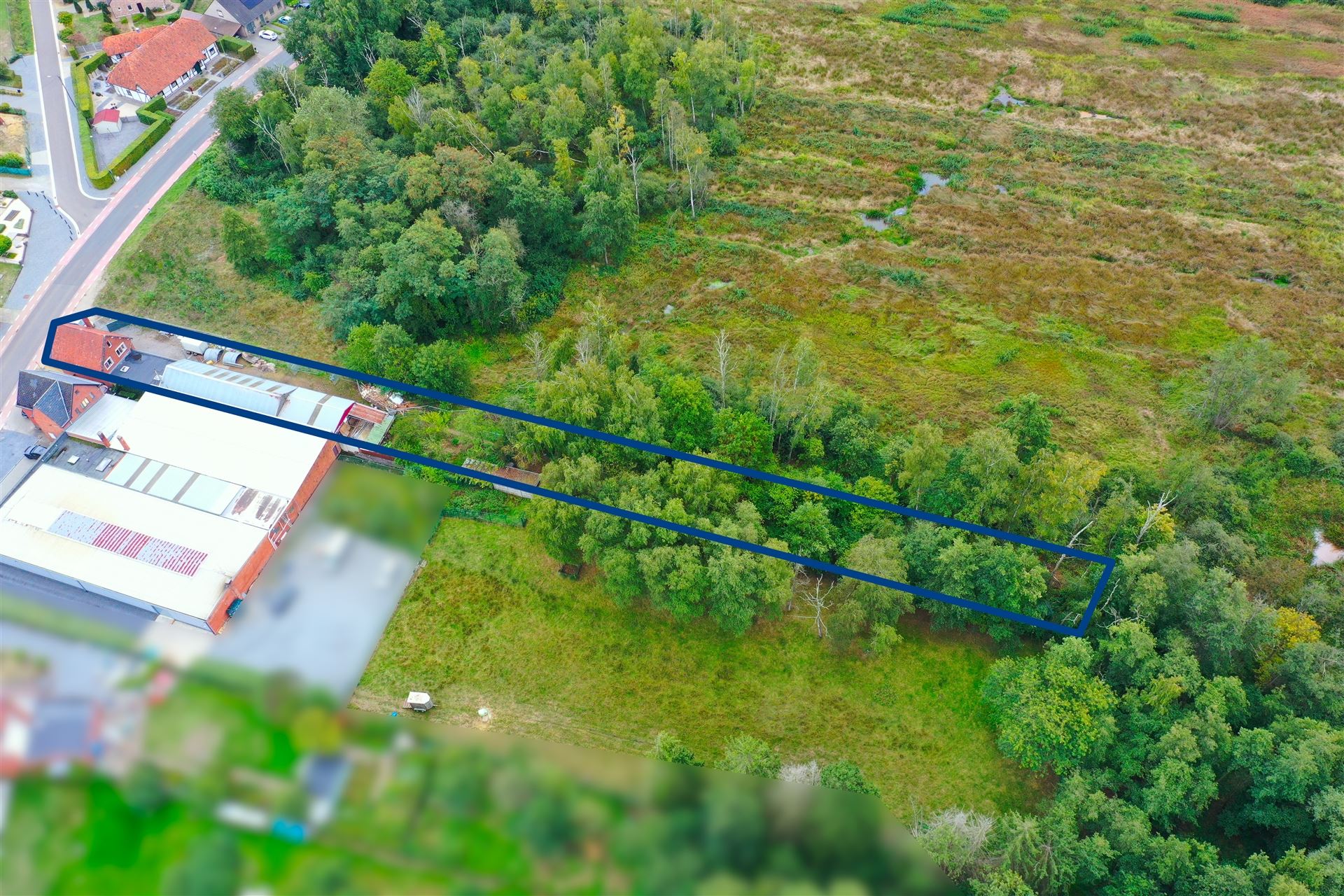 Gerenoveerde woning met loods (205m²) en privaat bos op 24a80ca in het rustige Zelem (Halen) - foto 4