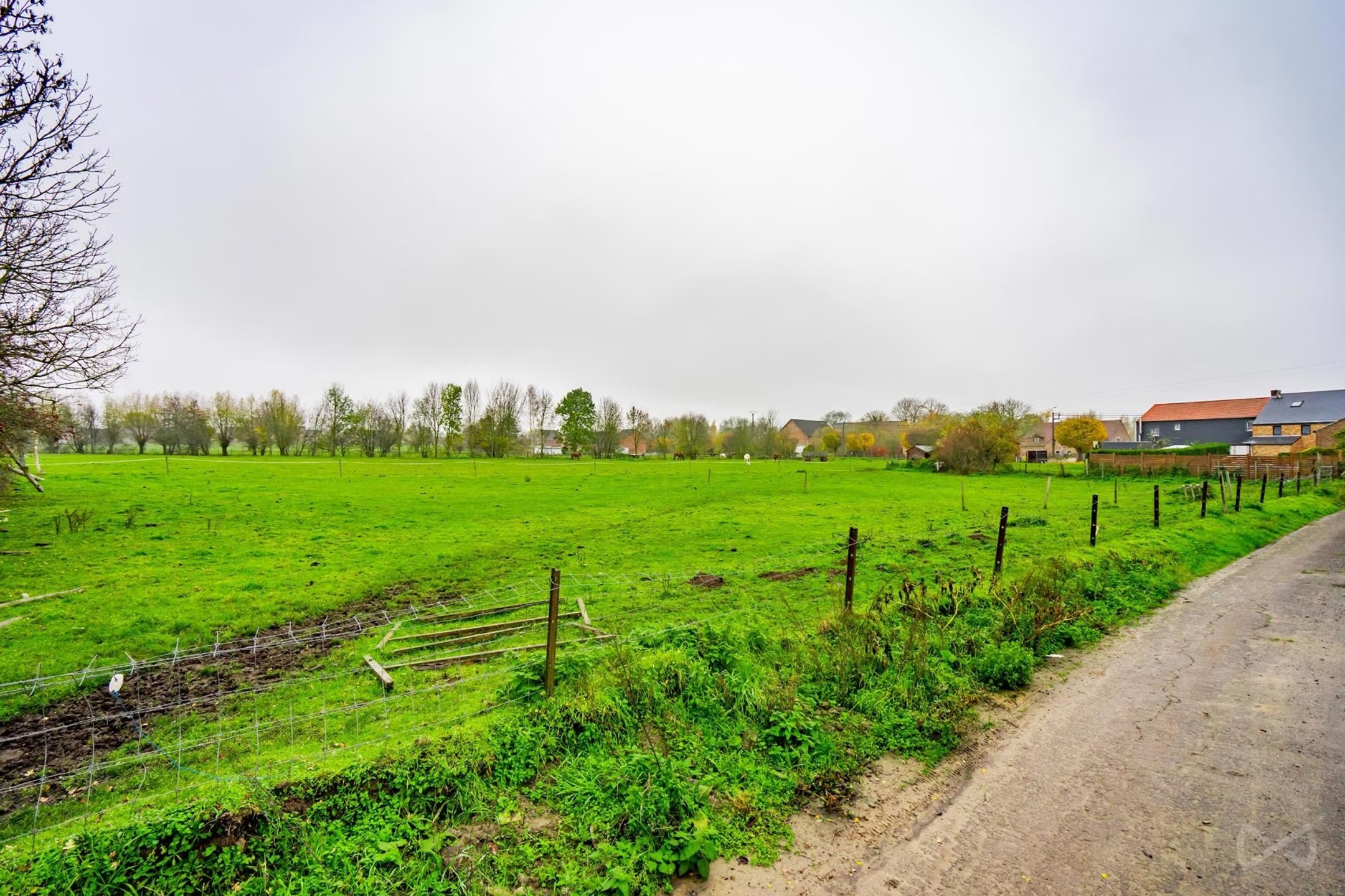 Terrain à vendre à Wasseiges - photo 5