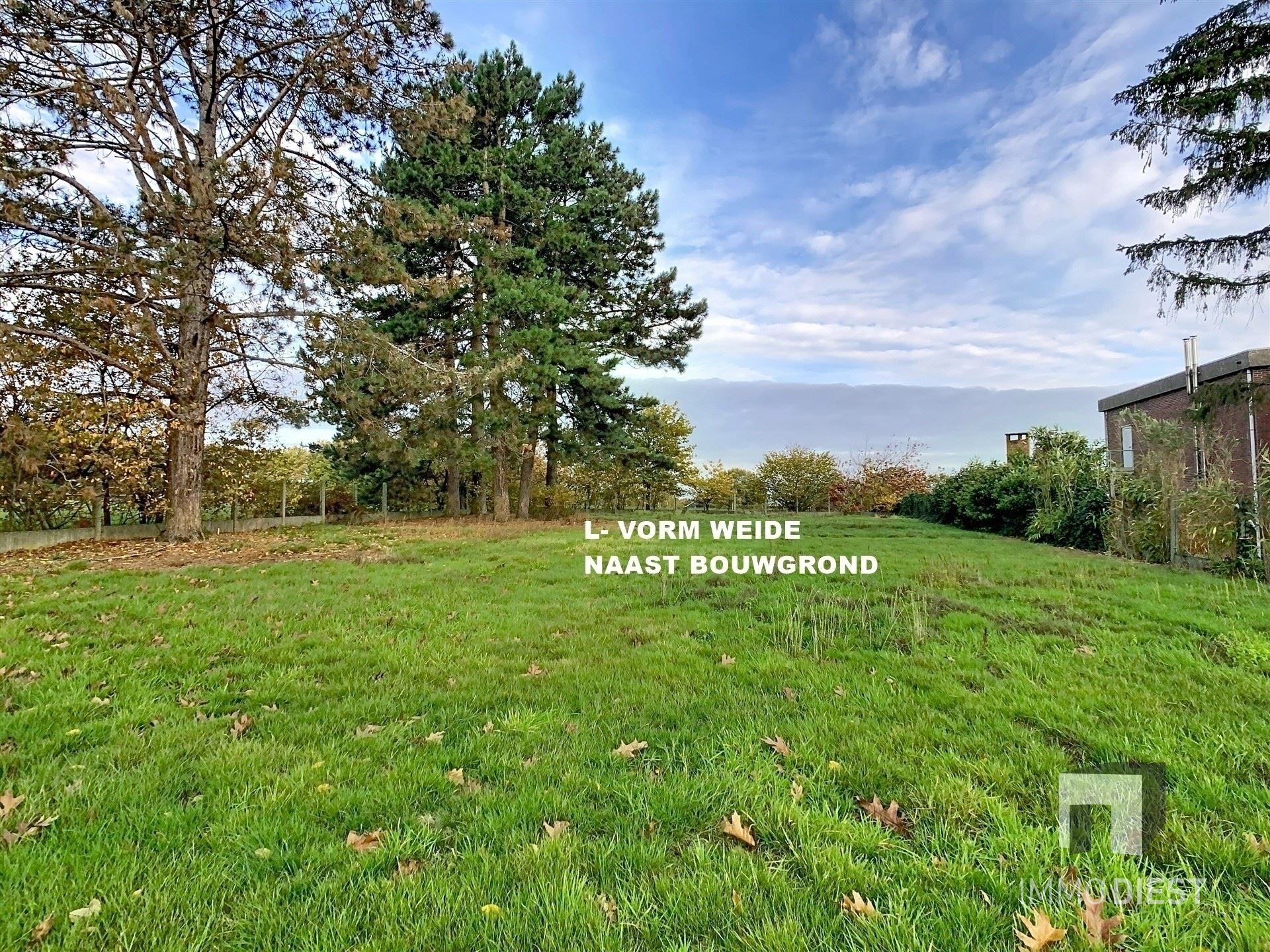 Landbouwgronden of weiden 6.067 m² - foto 4