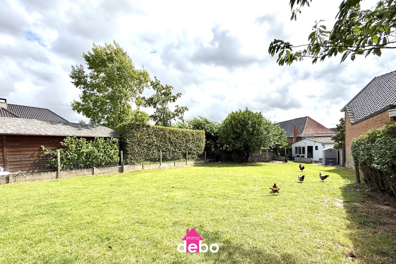 Bouwgrond van 600m² in het landelijke Otegem - foto 5