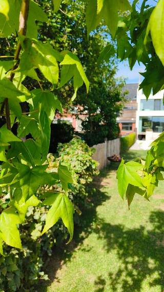 Prachtig afgewerkte instapklare herenwoning te koop in Kortrijk!<br /><br />Meer info terug te vinden op: https://godfrieddevreeselaan25.netlify.app/<br /><br />225 m² wooncomfort <br /><br />Bezoekdag zondag 27 september.<br /><br />Op zoek naar een woning waar kwaliteit, ruimte en comfort perfect samenkomen? Deze exclusieve woning is tot in de kleinste details afgewerkt. Hier hoef je alleen nog je koffers uit te pakken.<br /><br />✨ **Troeven van deze unieke woning:**<br />✔️ 225 m² bewoonbare oppervlakte<br />✔️ 4 ruime slaapkamers<br />✔️ 3 badkamers<br />✔️ 4 toiletten<br />✔️ Volledig uitgeruste, moderne keuken met zicht op de tuin <br />✔️ Volledig onderkelderd met doorgang naar de tuin<br />✔️ Vloerverwarming<br />✔️ Sfeervolle gashaard<br />✔️ Prado verlichting en ventilatie<br />✔️ Energiezuinig **E-peil 60**, 14 zonnepanelen <br />✔️ Ruime, perfect aangelegde zuidgerichte tuin<br />✔️ Verwarmd zwembad met warmtepomp om volop van de zomer te genieten<br />✔️ Volledig afgewerkt en ingericht tuinhuis<br />✔️ Screens aan de achterzijde van de woning<br />✔️ Hoogwaardige afwerking met oog voor elk detail<br /><br />Van de stijlvolle leefruimtes tot de prachtig aangelegde tuin: alles straalt kwaliteit, luxe en comfort uit. Een woning waar je jarenlang zorgeloos kunt wonen en genieten.<br /><br />📍 **Aan het begin van Pius X wijk, Kortrijk**<br />💰 **Richtprijs: €799.000**<br /><br />