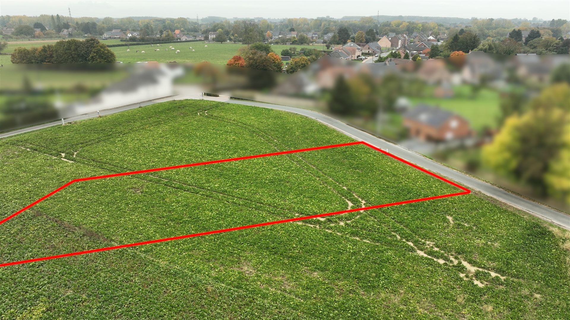 Land for sale in Ath - photo 2