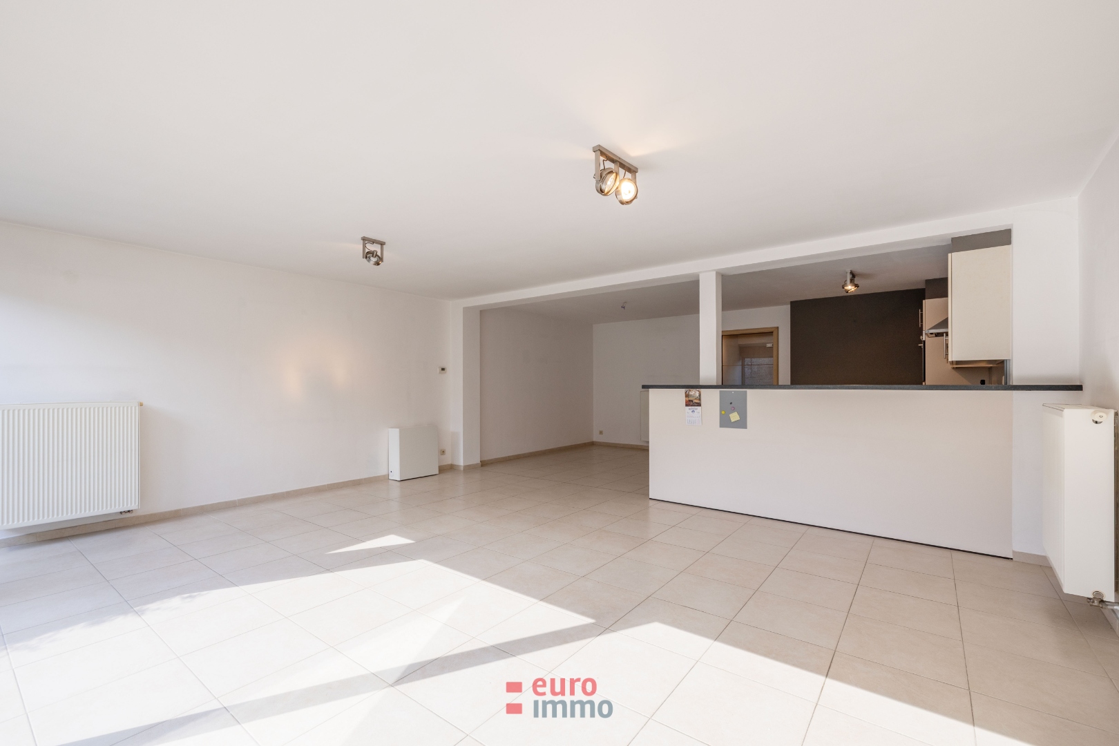 Zeer ruim en lichtrijk appartement met patio en stadskoer in hartje Nieuwpoort - foto 4