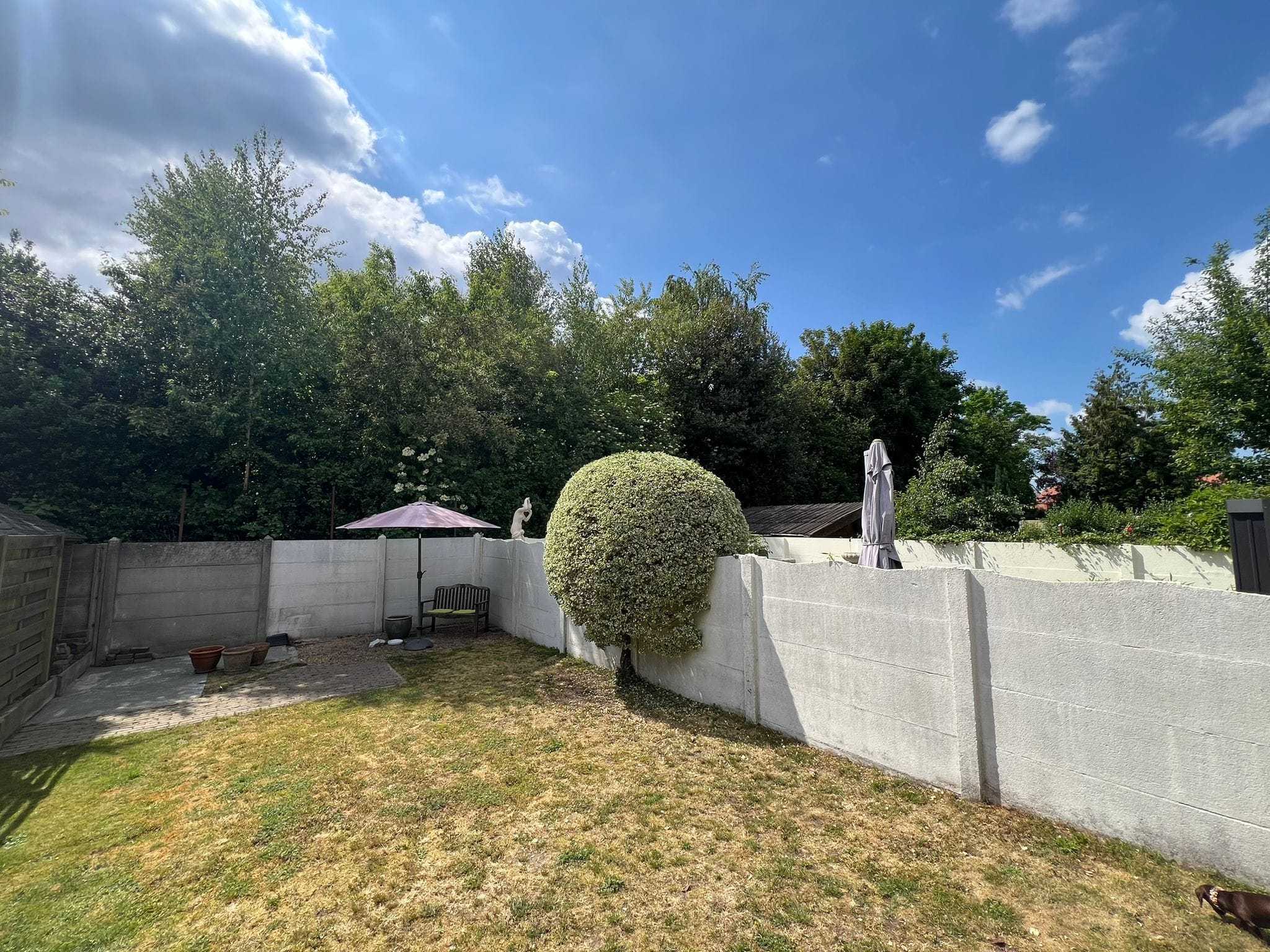 House for sale in Schoten with 3 bedrooms - photo 5