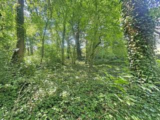 <p>Bouwgrond van 2.381 m² op toplocatie aan de Kapelsesteenweg in Brasschaat. Gelegen in een groene, residentiële omgeving met een uitstekende bereikbaarheid en nabij winkels, scholen en het centrum. Een unieke opportuniteit voor het realiseren van een stijlvolle villa op een ruim perceel.</p>