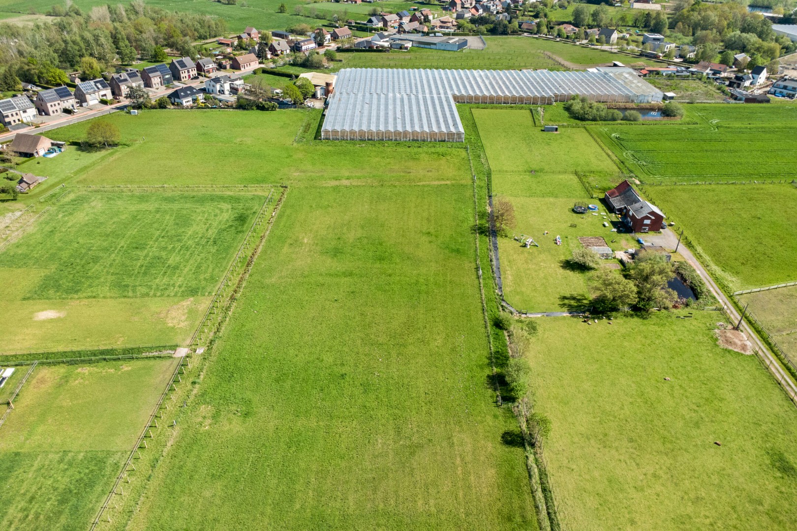 Serrecomplex met agrarische grond en magazijn - foto 4