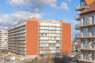 Ce studio familial, doté d'un coin nuit dans le hall d'entrée, pourrait bien devenir votre pied-à-terre en bord de mer !La kitchenette et la salle de...