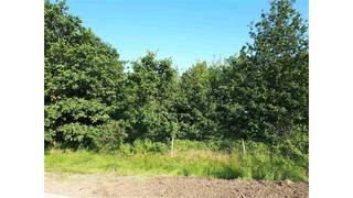 Perceel weiland te huur met een oppervlakte van ongeveer 4.010 m2 en gelegen te Kessel in de Vogelzangstraat  links naast huisnummer 56...