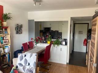 Mooi appartement op de 4de verdieping. Inkom met vestiaire en apart toilet. Prachtige lichtrijke living met open keuken ( elektrische...